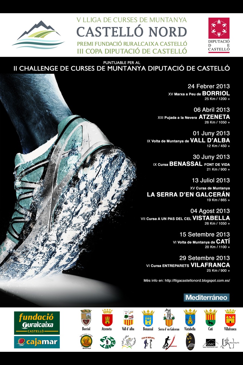 Cartell Lliga Nord 2013